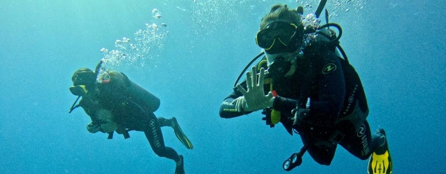  Two scuba divers are underwater, swimming above the ocean floor.