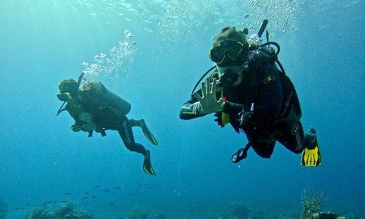 Two scuba divers are underwater, swimming above the ocean floor.