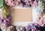  Hydrangea flowers around a brown envelop on a wooden surface.