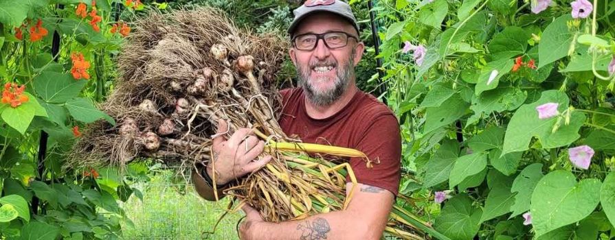 David Jarvis standing in a garden with greenery taller than him and his armed filled with long root vegetables.