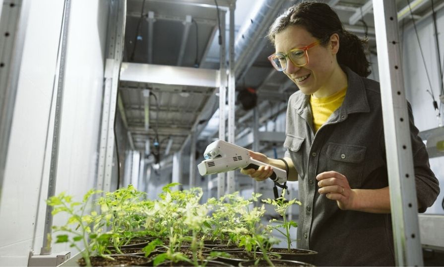 Researcher doing hands-on research with plants in a lab.