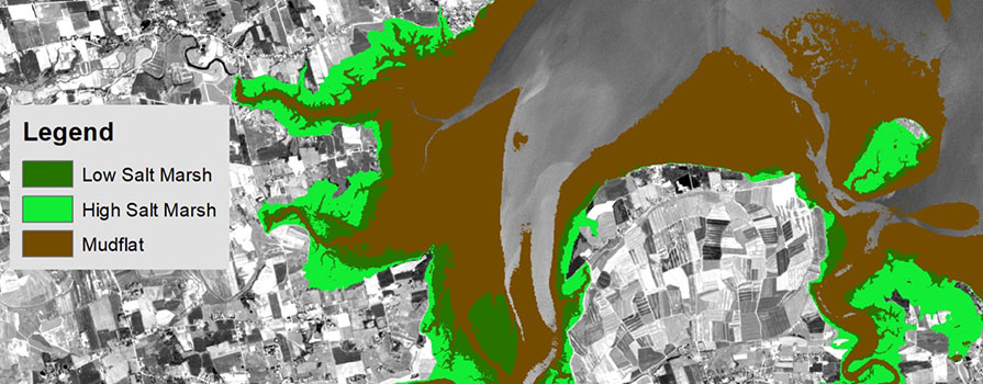 Map of mudflat layers of the Minas Basin.