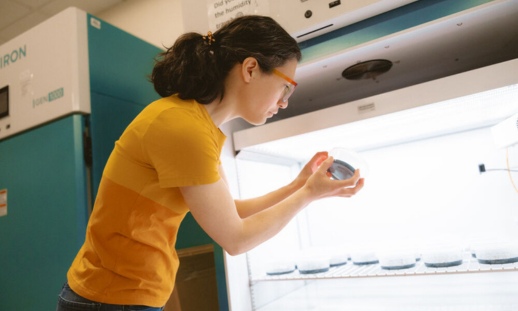 A woman researcher examining a petri dish in front of a growing chamber.