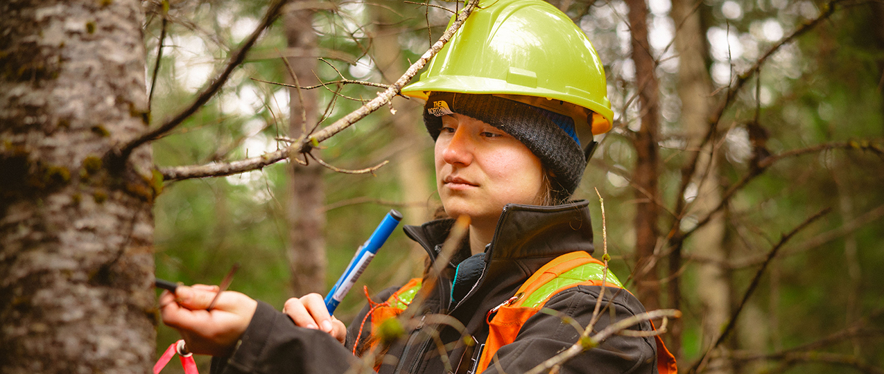 An nret student measuring a tree in the woods