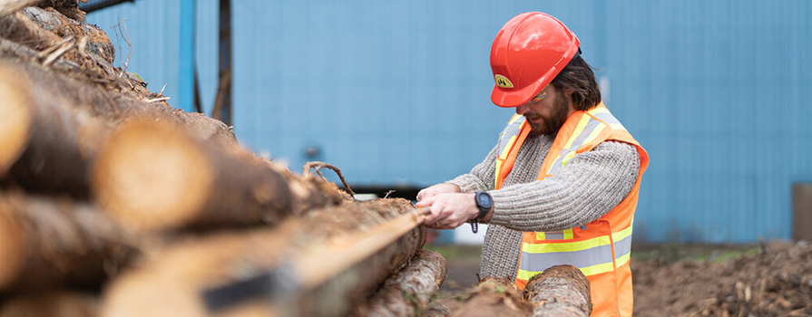 A man wearing safety gear measures cut logs in a pile.