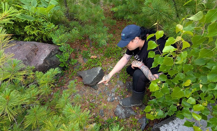 Lisa Faulkner conducting surveys on endangered species