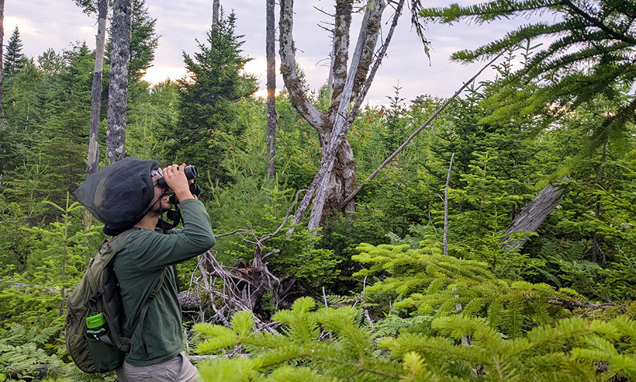 Nick DeForest watching birds 