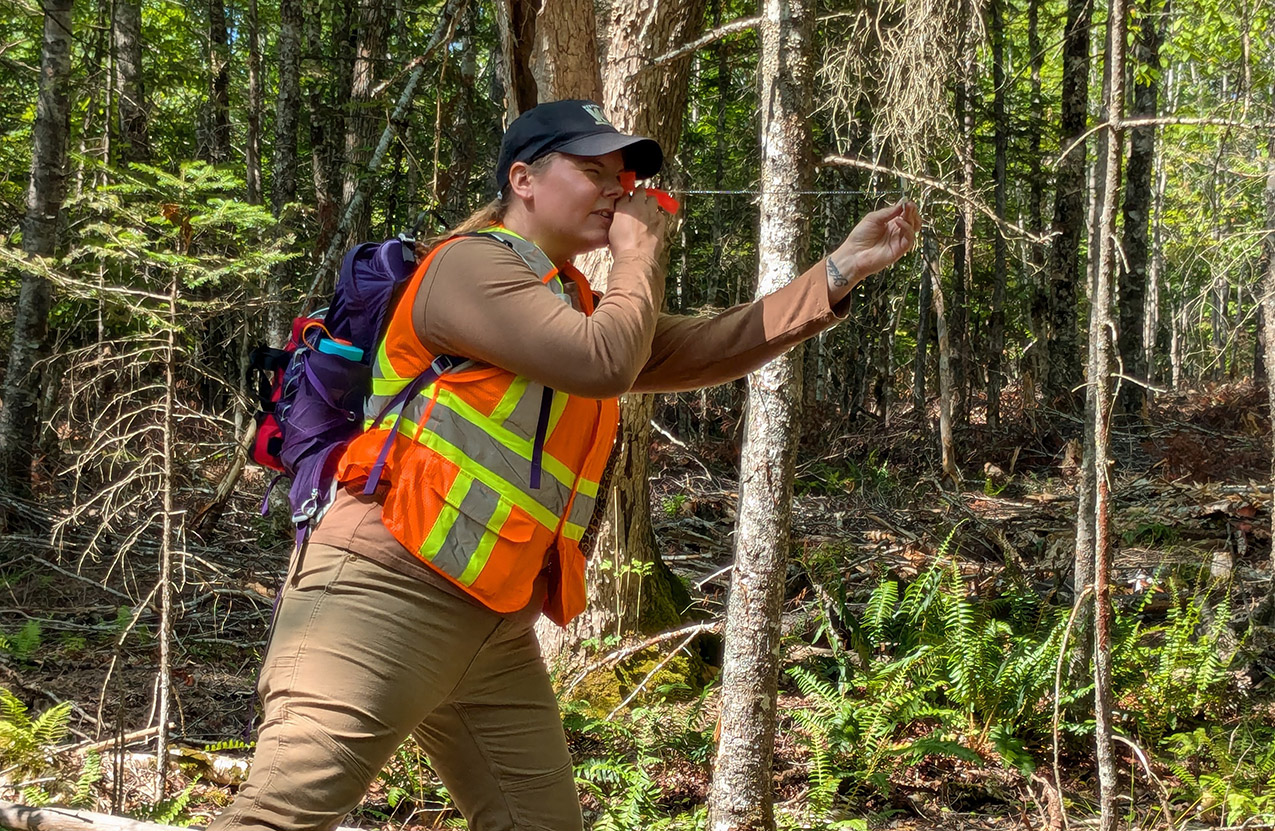 Rebecca trying to identify a tree in the woods