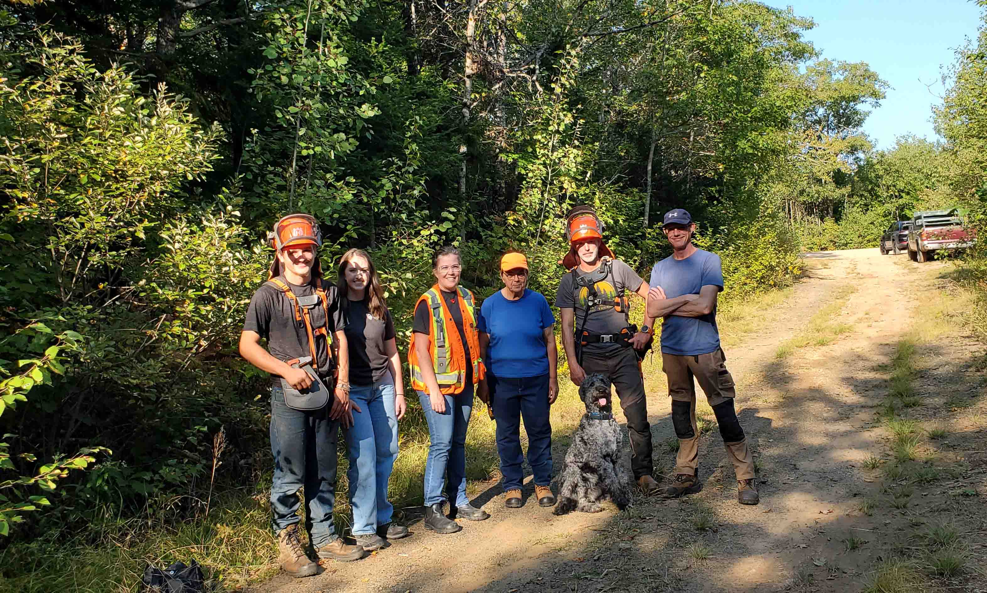 a thinning crew from Denis Bedford in the woods