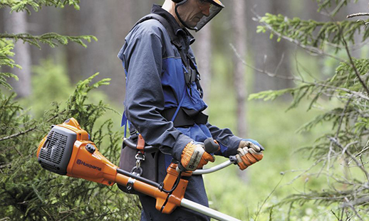 A man uses a thinning saw in the forest.