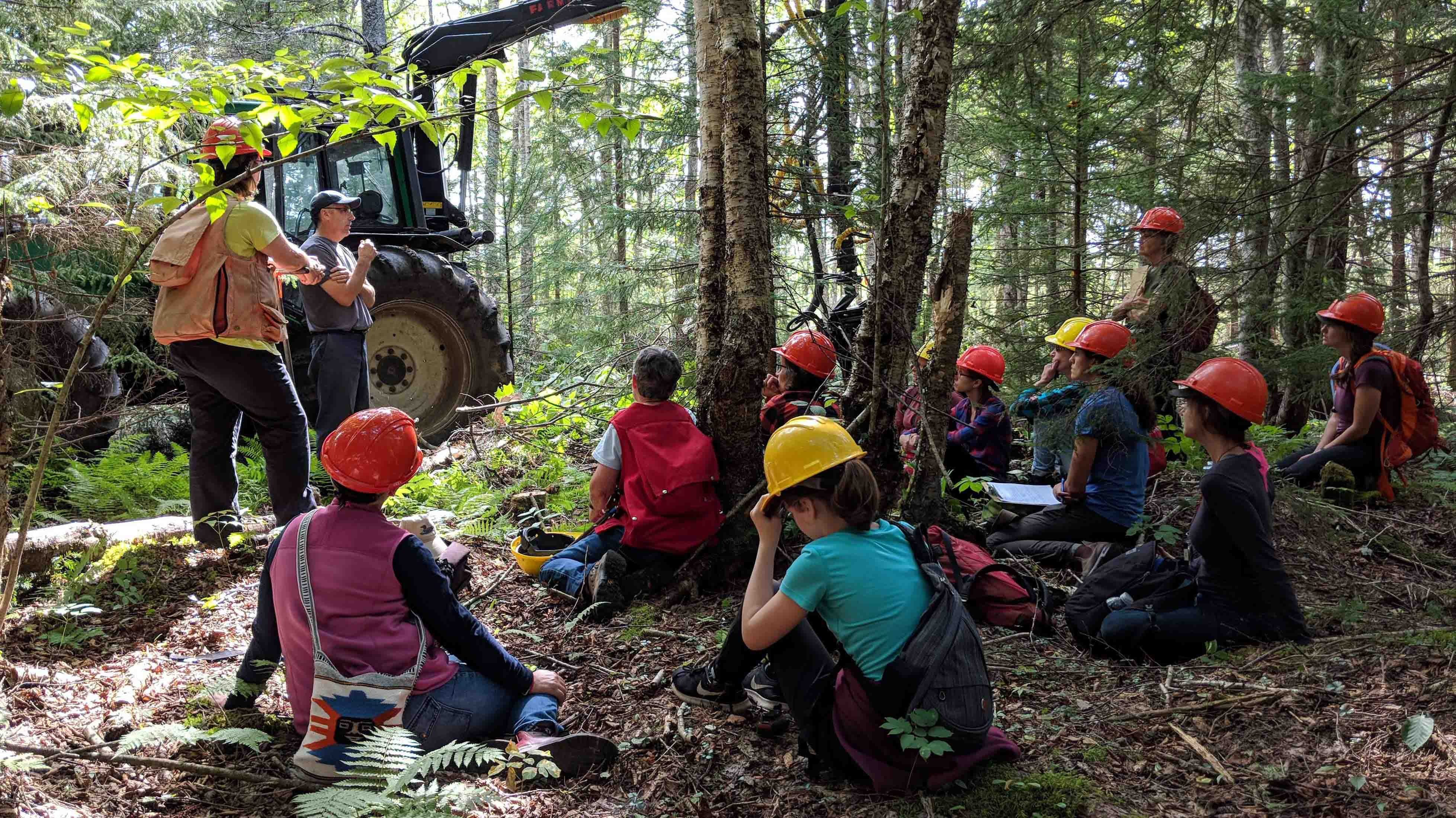 nscc youth forest camp