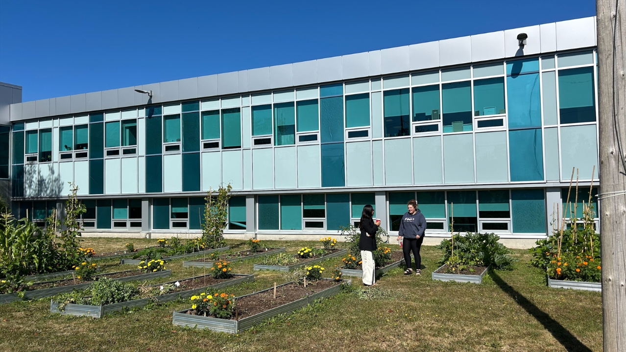 Iga'taqan in August after planting seedlings and produce.