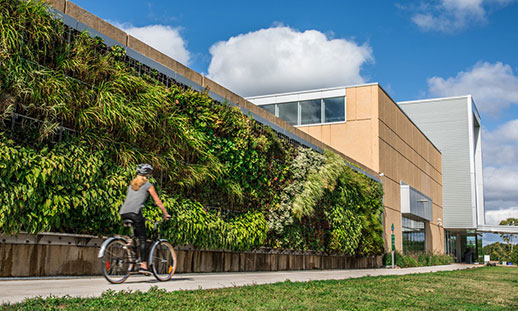 Sideview of a building covered in vegetation