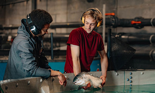 Two men standing beside a fish tank, one is holding a fish