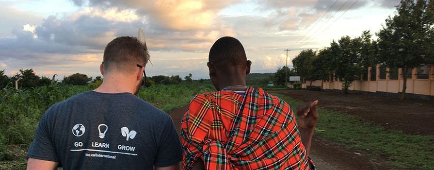 Two men walking at dusk.