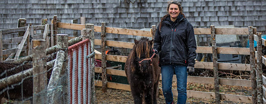 A woman in a black coat and jeans, walks a miniature horse between two wooden fences.