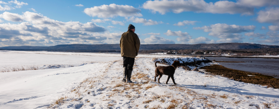 A man and a dog walk down a snowy shoreline.