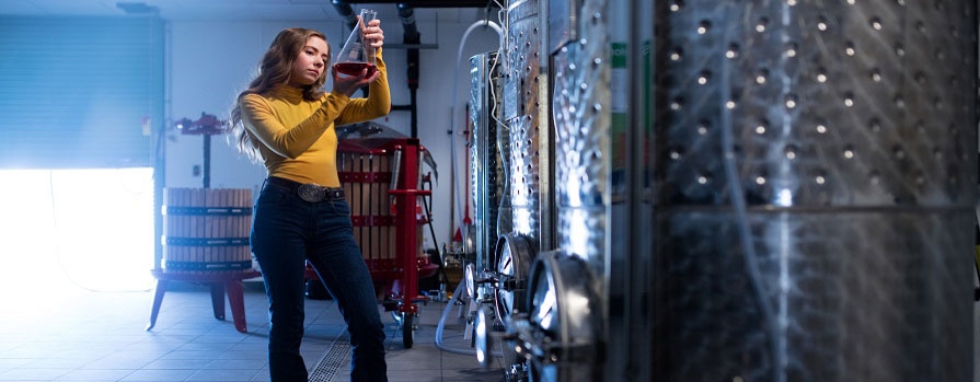 A woman in a yellow sweater looks closely at a glass vessel holding red wine. She is in a wine-making area.