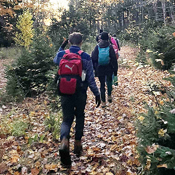 Students walking among leaves