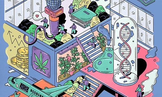 A highly-stylized, cartoony image containing a number of things in the college environment. This includes stairs, a person, books, a microphone, a DNA strand, books and plants. 
