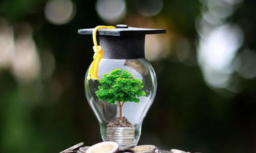 A photo of a small tree growing inside a lightbulb.