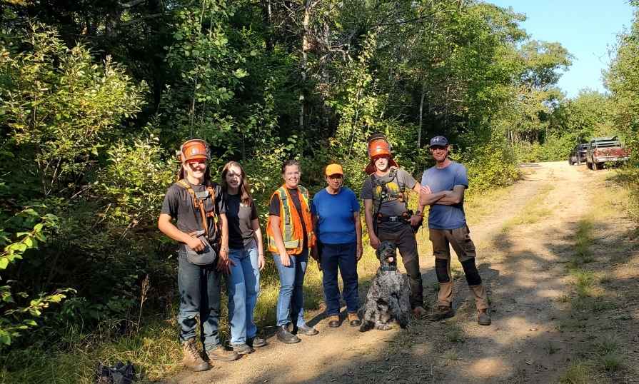 Six forestry professionals wearing safety gear stand in a Nova Scotia woodlot during a mechanical thinning pilot project, with a dog beside them.