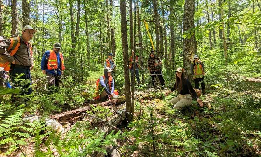 A group of forestry students standing in the forest with safety vests.