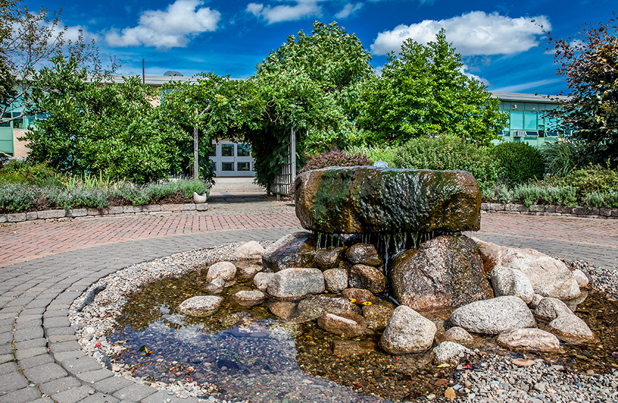 Campus grounds