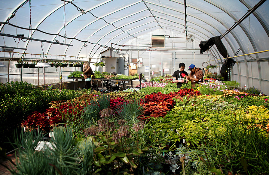 Horticulture and Landscape Technology