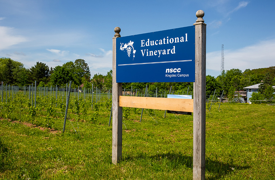 Educational Vineyard