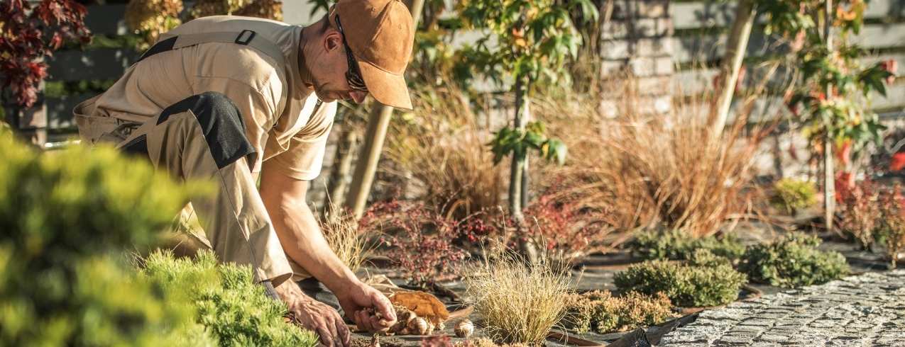 A landscape technician works on a commercial garden bed next to a built walkway.