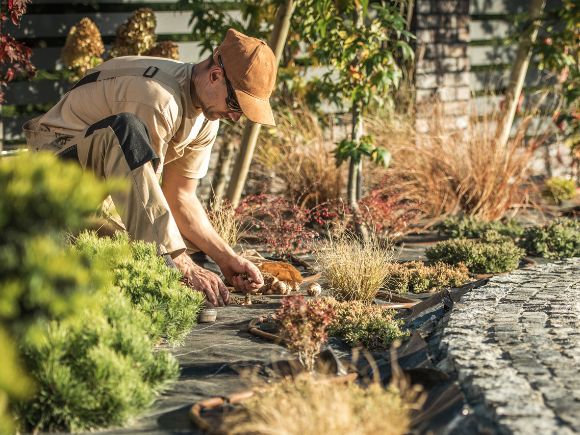 A landscape technician is knelt down beside a paver stone walkway. They are maintaining the plants and area beside the walkway.