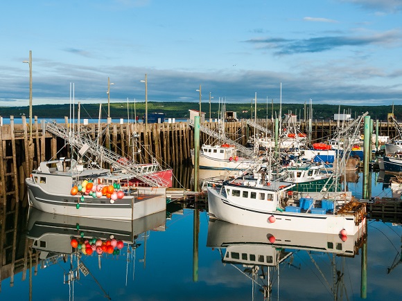 A group of fishing boats sits near a wooden dock. The sea is calm and there are green, rolling hills in the background.