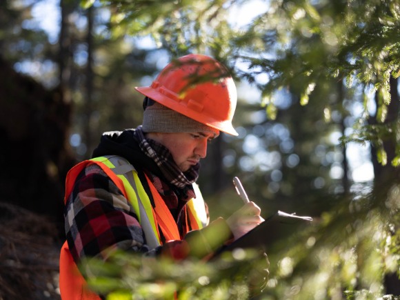 A man in a hard hat and orange vest taking notes outdoors in a wooded area.