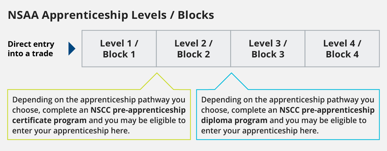 An infographic with text that shows that you can enter an apprenticeship directly through NSAA, complete an NSCC IST certificate program and enter after level 1 or complete an NSCC IST diploma program and enter after level 2. An apprenticeship typically contains 4 levels.