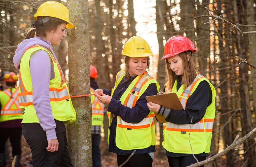 Three young women, dressed in vibrant work vests, conduct fieldwork in a forest setting. One woman holds a clipboard while another measures a tree.