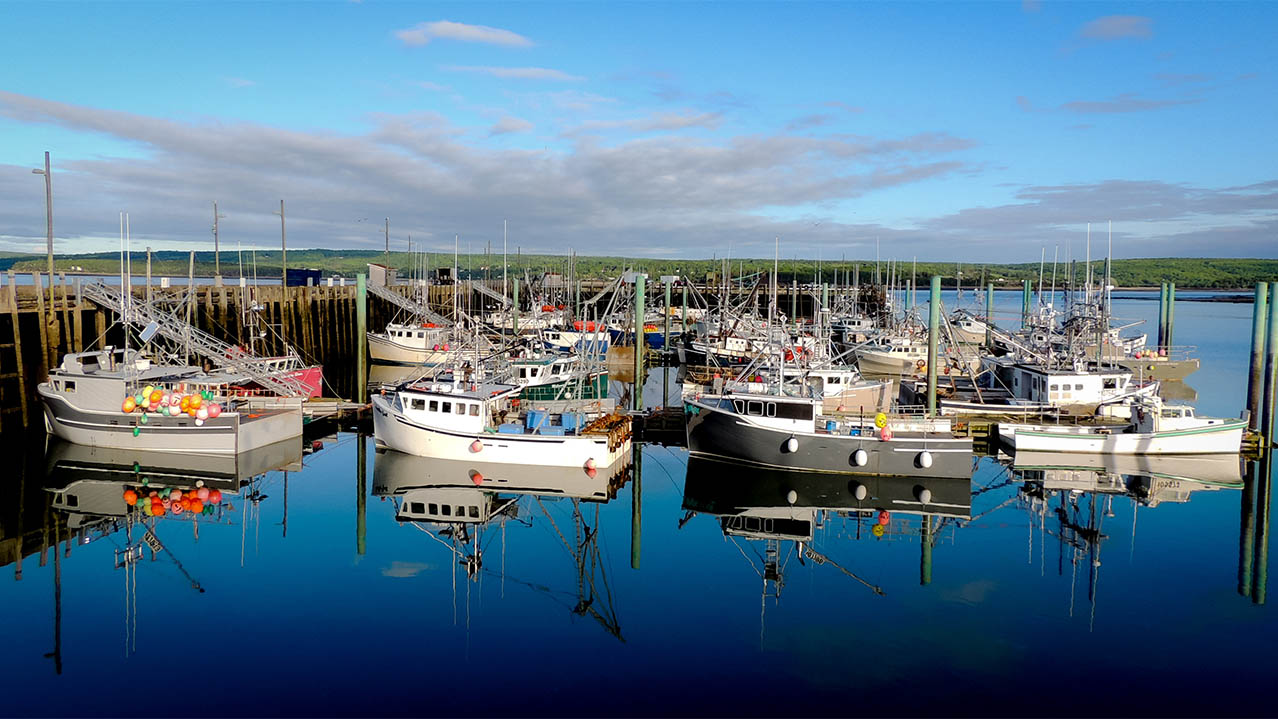 A group of fishing boats sits near a wooden dock. The sea is calm and there are green, rolling hills in the background.