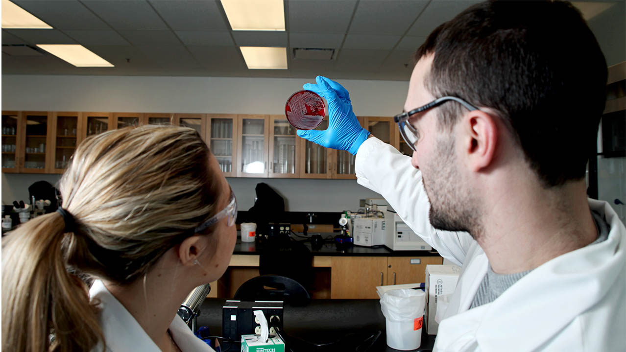 Two NSCC Medical Laboratory Technology students stand together and look at a petri dish.