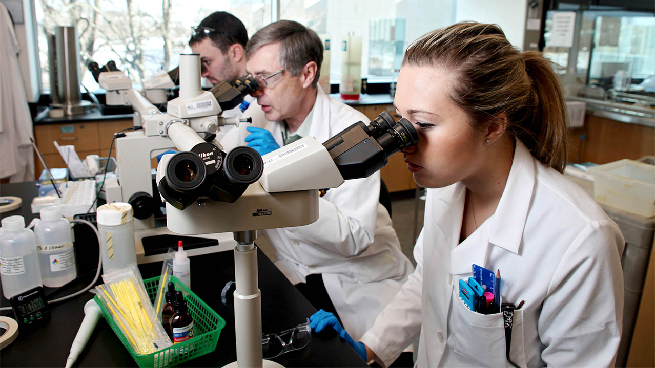 Two NSCC Medical Laboratory Technology students stand at a table looking into microscopes.