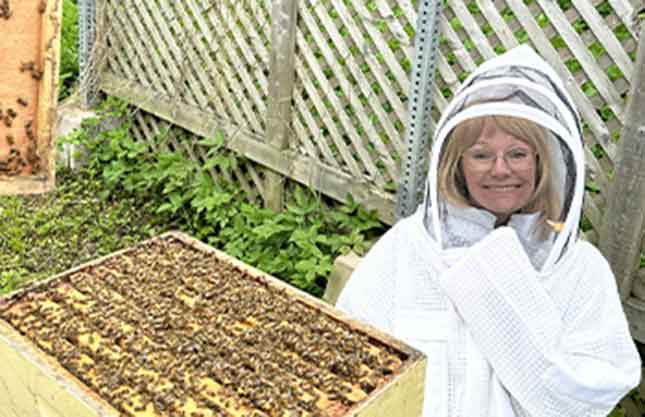 A smiling woman with glasses wearing a full protective suit including helmet, works with an active beehive.