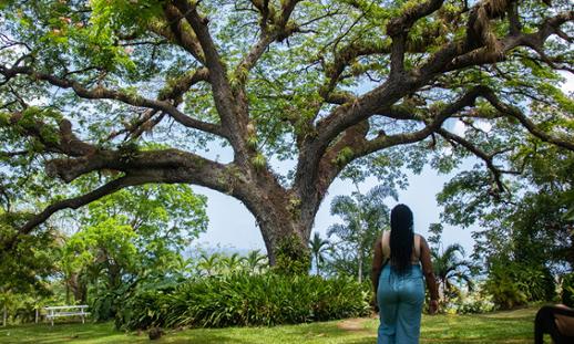 Donntayia walking towards a tree and giving their back to the camera